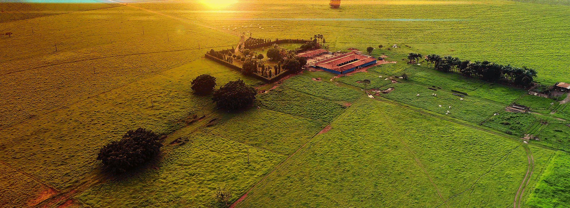 O berço do gado nelore no Brasil.