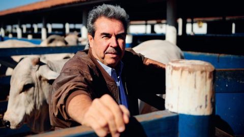 Passado, Presente e Futuro do Zebu, o legado brasileiro para o mundo.